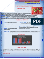 3 BANER Trabajo Ingen 2019 Diag Septicemia Lissa