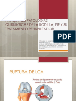 Principales Patologías Quirúrgicas de La Rodilla, Pie