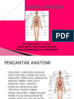 Anrad Dasar Anatomi Radiologi