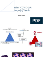 STHM - Pandemi C19-Perspektif Medis