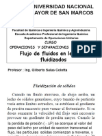 Flujo de Fluidos en Lechos Fluidizados