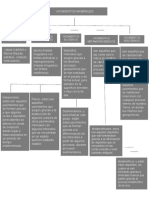 Mapa Conceptual Yacimientos