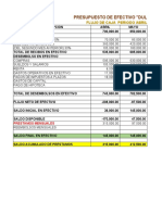Flujo de Caja Presupuesto - PP1