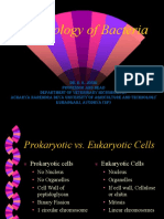 Morphology of Bacteria