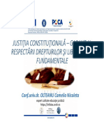 Justiţia Constituţională Garant Al Respectării Drepturilor Şi Libertăţilor Fundamentale