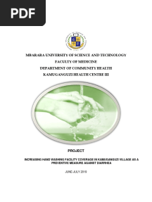 Community Placement Report, Kamuganguzi HC III, Uganda