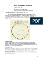 06 Cycle Cellulaire 1