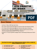 SIP Bidan