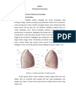 Anatomi Dan Fisiologi Pleura