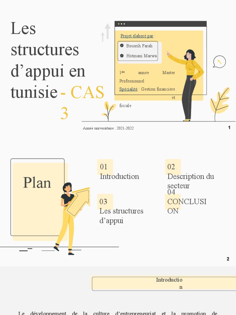 Structures d'appui à l'entrepreneuriat en Tunisie | PDF ...