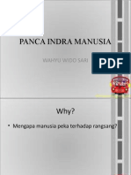 PANCA INDRA MANUSIA