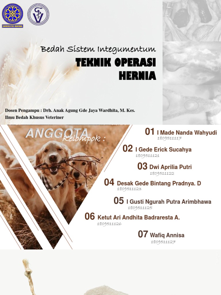 Teknik Operasi Hernia Pdf