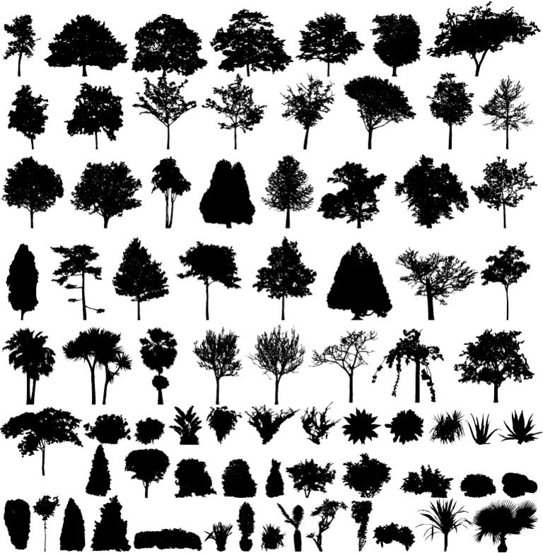 Vector Trees | PDF