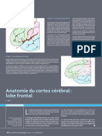 Neuro Anatomie