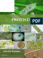 Ppt Protista (1)