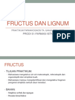 Fructus Dan Lignum