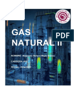 Investigacion Gas Natural