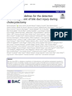 2020 WSES Guidelines For The Detection and Management of Bile Duct Injury During Cholecystectomy