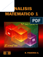 Analisis_Matematico_1_Ricardo_Figueroa_G