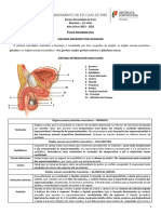 FI - Sistema Reprodutor Masculino e Feminino