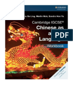 Cambridge IGCSE (R) Chinese as a First Language Workbook - Ivy Liu So Ling