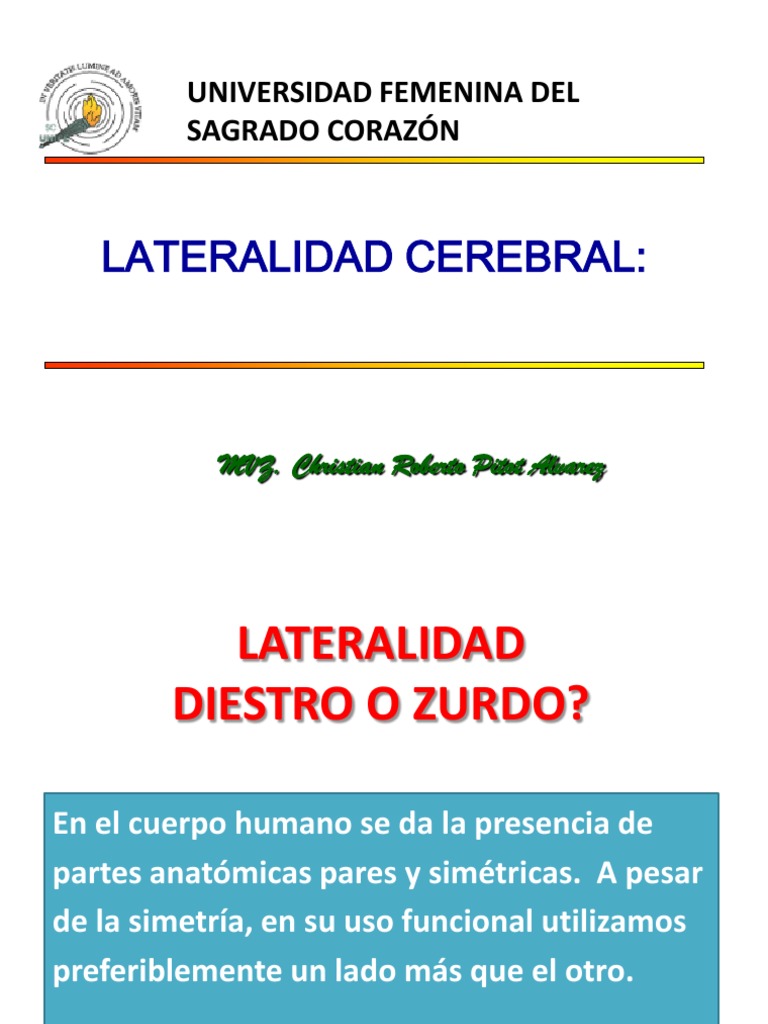 Lateralidad: Definición y Tipos | PDF | Handedness | Cerebro