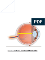 Evaluación Del Segmento Posterior