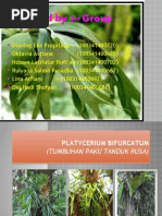 Download tANDUK RUSA by Zani Latifatur SN54461562 doc pdf