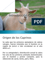 Introducción Caprinos-1