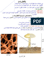 12ـ الفطريات