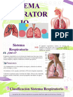 Apuntes Sistema Respiratorio