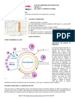 GT 2021 CN G9 Cómo Se Hereda El Adn