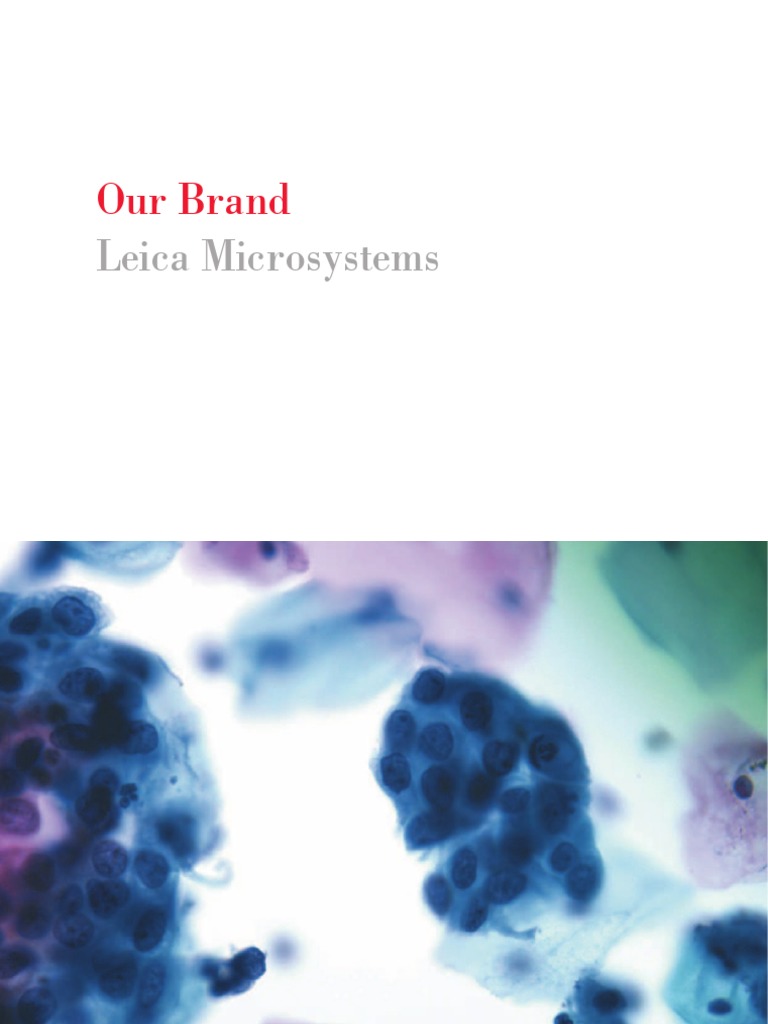 Leica BrandBook en | PDF | Brand | Typefaces