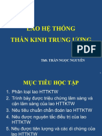 Lao He Thong Than Kinh Trung Uong