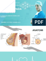 REFERAT KELAINAN PADA PAYUDARA (St. Nurchaliza D.P)