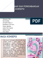 Fase Konsepsi