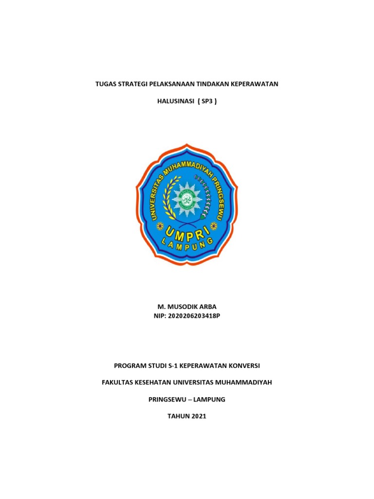 SP 3 Halusinasi | PDF