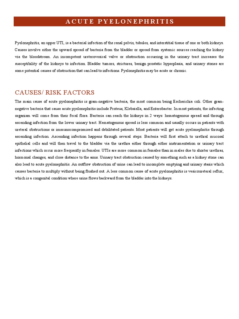 Acute Pyelonephritis: Causes/ Risk Factors | PDF | Urinary Tract ...