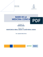 Insuficiencia Renal Aguda o Lesión Renal Aguda Autor Jaqueline Pefaur Penna