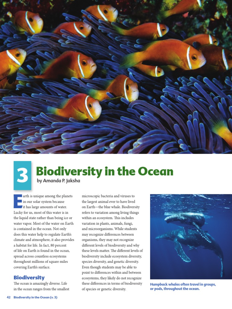 Ocean Biodiversity Explained | PDF | Coral Reef | Plankton