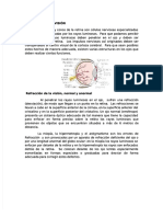 PDF Fisiologia de La Vision - Compress