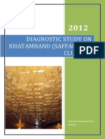 Diagnostic Study On Khatamband (Saffakadal Cluster) : Craft Development Institute Srinagar