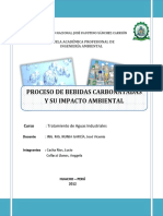 99478571 Proceso de Bebidas Carbonatadas y Su Impacto Ambiental