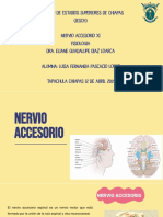 Fisiologia Nervio Accesorio. Xi.