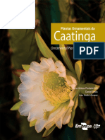 Plantas-ornamentais-da-caatinga