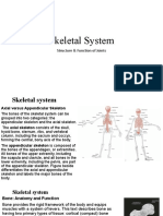 Skeletal System: Structure & Function of Joints