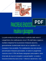 4._Pancreas