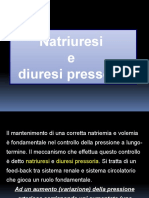 Natriuresi e Diuresi Pressoria