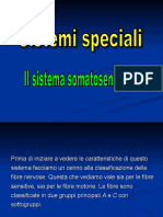 Sistema_sensoriale_parte_2