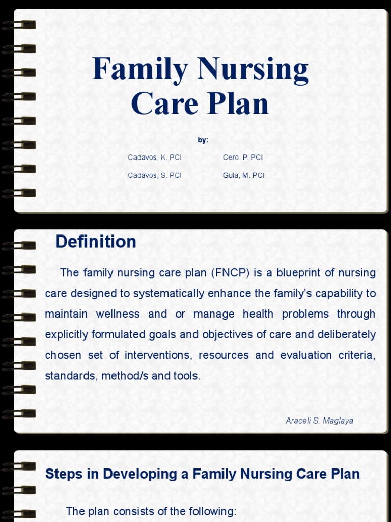 Family Nursing Care Plan Development | PDF | Nursing | Health Sciences